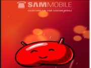 Cara Upgrade Firmware Smartphone Samsung