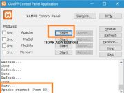 Cara Mengatasi Apache ( XAMPP ) Yang Tidak Bisa Start