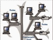Pengertian dan Macam-macam Topologi Jaringan Komputer