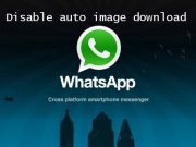 Cara Menonaktifkan Auto Download Media di Whatsapp